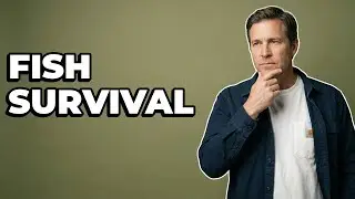How Do You Remove A Fish Hook Safely?