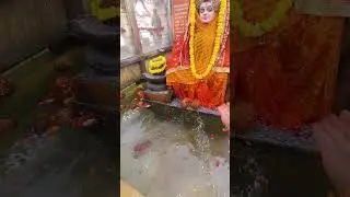 परिक्रमेचा ७२ वा.दिवस नर्मदामैय्या उद्गमस्थळ,कोटीतीर्थ घाट,अमरकंटक 