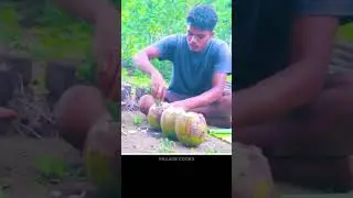 Yummy Egg Omelette In Green Coconut In Village Cooks #shorts