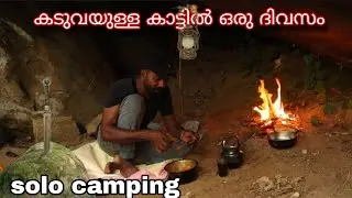 കടുവയുള്ള കാട്ടിൽ solo camping⛺
