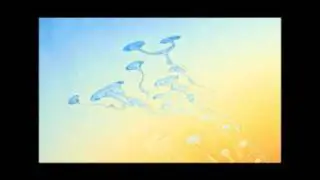Soap Bubbles - Mombus
