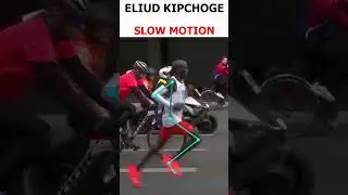 Eliud Kipchoge breaking the world record in Berlin 2022