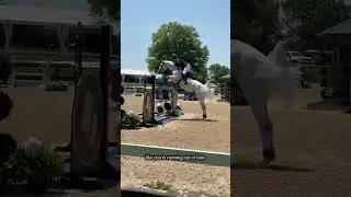 inspirational showjumpers🫶🏼‼️ #youtube #horses #equestrians #showjumpers #ytshortsviral
