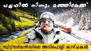 സ്വിറ്റ്സർലൻഡിലെ പച്ച  താഴ്വരകളിൽ നിന്ന് മഞ്ഞുമലകളിലേക്ക് | A Journey To Europe’s Highest Peaks