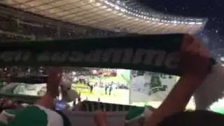 DFB Pokalfinale 2015 VfL Wolfsburg vs. BvB