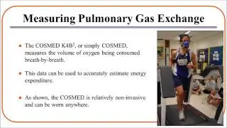 Work Physiology - Cosmed K4b2 Metabolic Cart