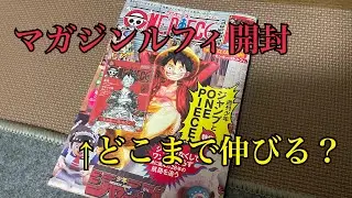 【売るなら今？】ワンピースマガジン20の付録ルフィの高騰はここが天井か？
