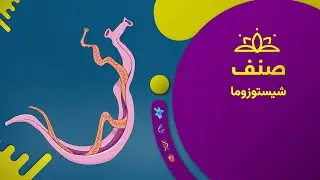 صنف - بیولوژی صنف هشتم- درس ۱۷: اشیستوزوما