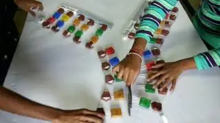 Project on semiconservative DNA replication