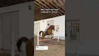 My first time show jumping🤡 #horse #horses #horseriding #showjumping #jump #equestrian #fyp #viral