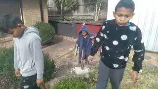 insect hunt part 1