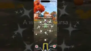 ✨НОВЫЙ КОСТЮМ ШАЙНИ ТЕДДИУРСА ПОПАЛ В Pokemon Go!✨ #шорты #покемон