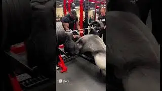 A Silverback Gorilla bench pressing at the gym 🦍🏋️🔥🔥#funny #gym #nature #ai #sora #animals