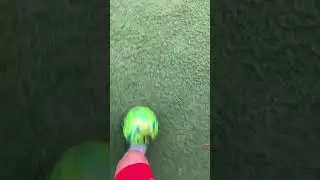 Matador skills plz sub