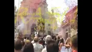 dvd madonna del bosco