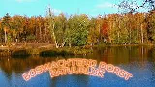 Boswachterij Dorst Natuurlijk