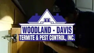 The Local Guys Termite and Pest Control Woodland Inspection Service