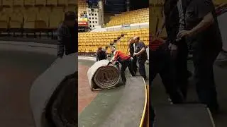 Медвежьи будни.# Bear'sweekdays#training#rehearsal#freeding#lifebehingthescenes#bear#zoo#animals