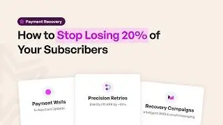 How to Stop Losing 20% of Your Subscribers (With Payment Recovery)