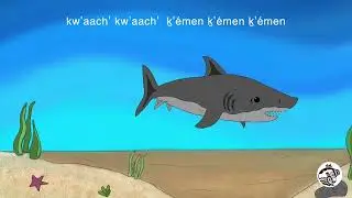 Sts’ukwi7 sts’ukwi7 slulum   Slippery Fish Song in Squamish Language