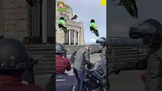 🌹🕉️ Shiv Shakti 🕉️🌹🌷🇮🇳   Vista House  ki kuch jhalkiyan bahut pyari hai 🌲🌲