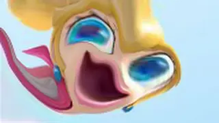 mario kart but it's a shooting star meme