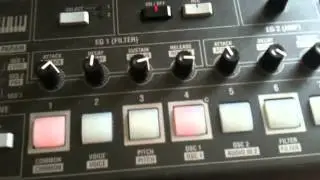 KORG MS2000BR at work (скромный обзор)