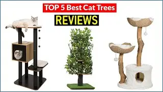 ✅ BEST 5 Cat Trees  Reviews | Top 5 Best Cat Trees  - Buying Guide
