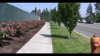 Landscape Water Conservation: Examples of Success