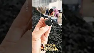TOM COCO C25 premium coconut charcoal briquettes
