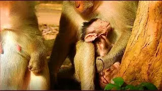Dasha was very weak Duchess worries much newborn