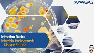 Microbial Pathogenesis, Disease Process