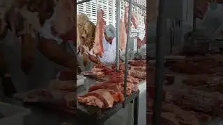 24 de janeiro de 2026