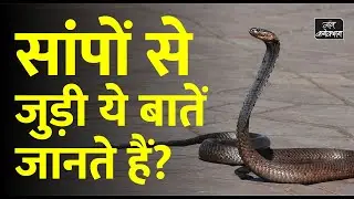 सांपों से जुड़ी ये बातें जो आपको जाननी चाहिए || Myths and facts about snake