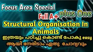 Plus One Zoology Focus Area Based Class | Biology | Chapter 7 | Structural Organisation In Animals