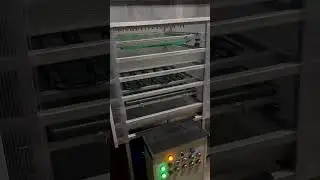 Sea Grapes Washing Machine