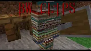 BW CLIPS | CLARITY | feat. Jasminee, HighRankPlayer, Haride, Hetse