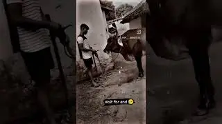 Pata chala ki galat lake me pata nikla 😢😢!!#funny #shortsindia #viral #puspakmahatovlogs #bonaigarh