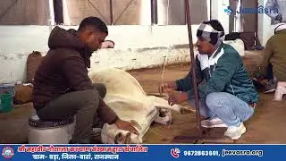 jeevasra animal hospital baran......#AnimalRescueIndia #StreetDogsOfIndia #IndiaCares
