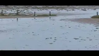 Storm clouds,  wind and Birds, North Sea!!!
