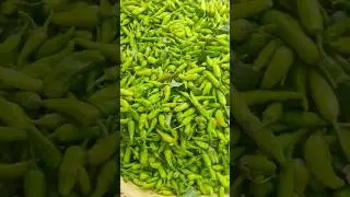 Aaj ke Sabziyon ke Bhav | Pakistan Vegetable Rates Today 2025 | Fresh Mandi Rates #sabzi #fruit