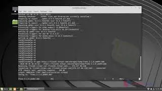 How to install Franz Messenger 5.1.0 on Linux Mint 19