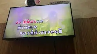 【Diggy-MO'】わっしゅるっどぅ【STAY BEAUTIFUL】