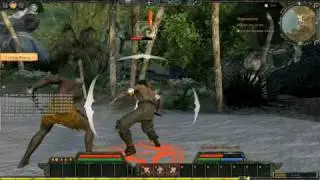 AOC - HD Combat Tutorial