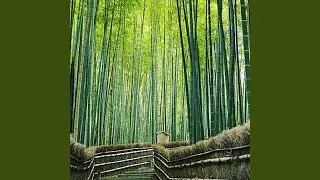 Nature Heart