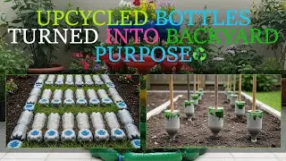 These 21 Plastic Bottle DIY Projects Are Too Beautiful to Be Trash 😍