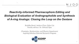 Reactivity informed Pharmacophore Editing. Biological Evaluation of Andrographolide A-ring Synthesis