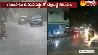 Heatwave in Andhra Pradesh​: Rains bring relief for north coastal
