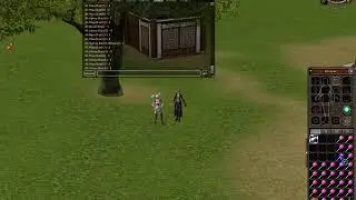 Metin2 TURKEY2  -  Lolipop a&ccedil;ımı