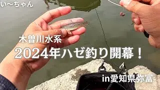 2024年ハゼ釣り開幕！ 毎度お馴染み愛知県弥富市境港 木曽川マリーナ